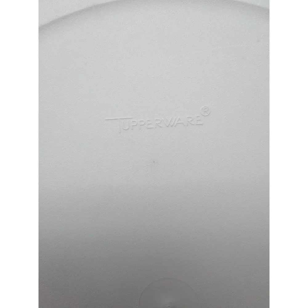 Vintage Tupperware Divided Veggie Tray and Dip Bowl With Cover